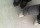 patin