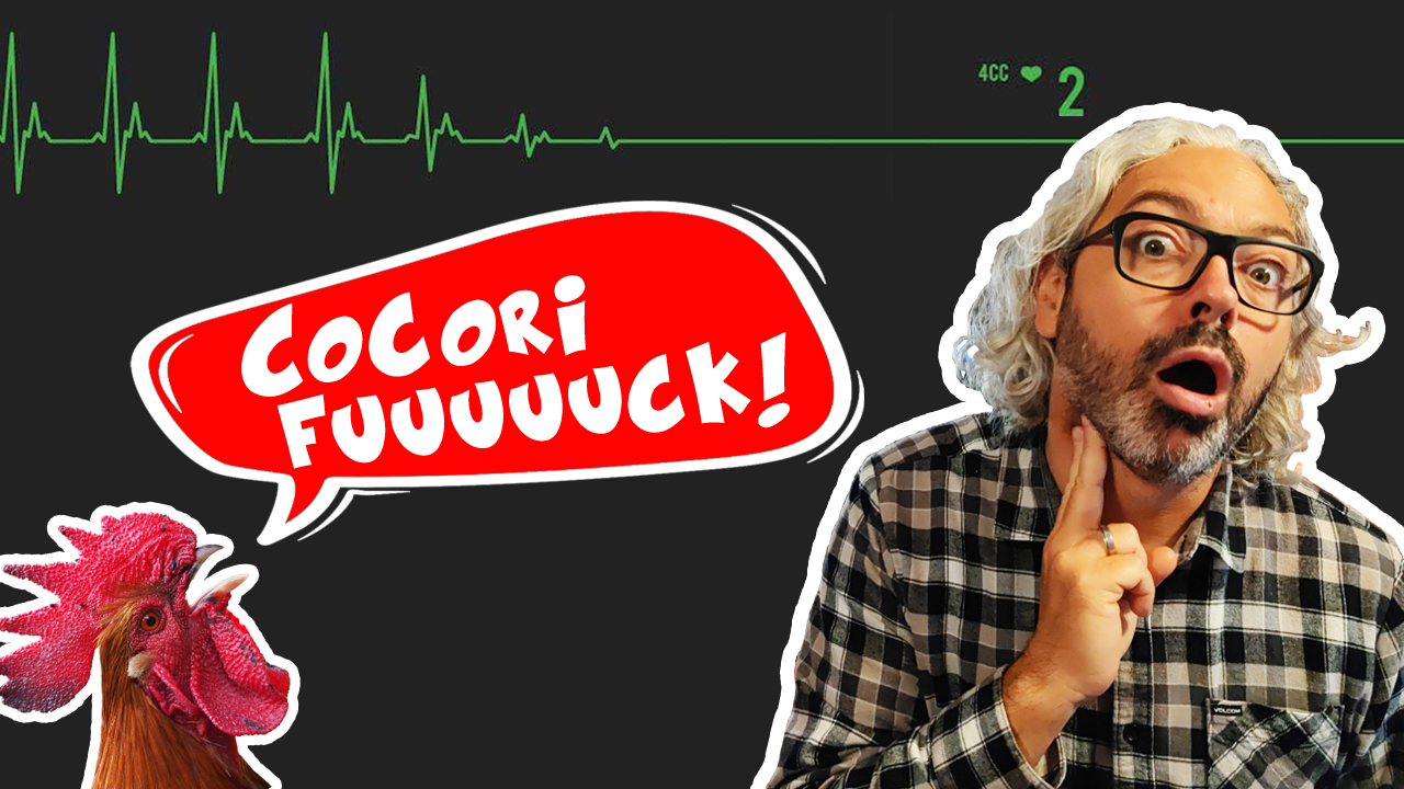 Le Rock Français est-il mort? 💀